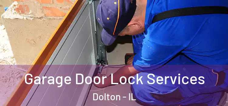 Garage Door Lock Services Dolton - IL