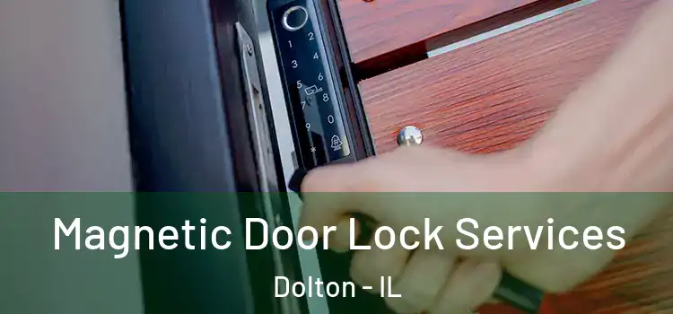 Magnetic Door Lock Services Dolton - IL
